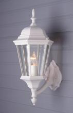  4250 WH - San Rafael 23" Wall Lantern